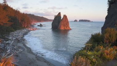 late sunset shot of split rock at rialto beach in the olympic national park clipart