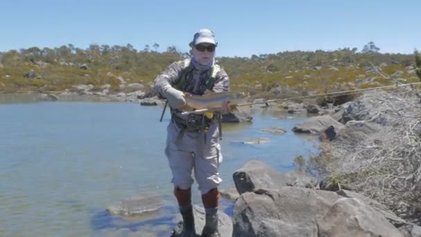 Un pescador y trucha en tasmanias lagos occidentales — Vídeo de stock