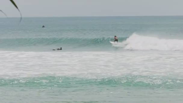Surfare rider på en våg vid regnbågsbukten — Stockvideo
