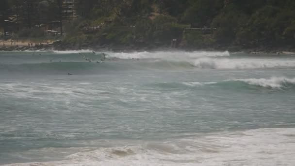 Long plan de surfeurs chevauchant les vagues à Greenmount sur la côte d'or du Queensland — Video