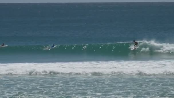 クイーンズランド州のゴールドコーストにあるキラーで有名な波をサーフィンしている若者を追跡しています — ストック動画