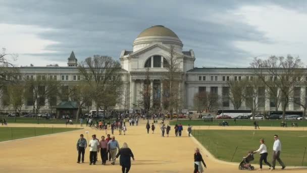 WASHINGTON, DC, USA -2017. április 3.: a washingtoni Smithsonian Természettudományi Múzeum külseje — Stock videók