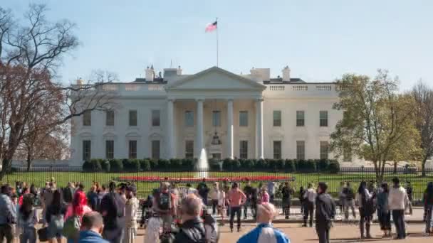 2017 년 4 월 2 일에 확인 함 . WASHINGTON, DC, USA - April, 2017: day time shot of the white house in washington dc — 비디오