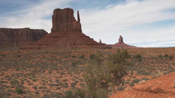 Uno dei guanti e un ginepro a Monument Valley — Video Stock