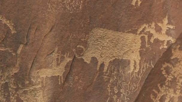 Close up of a bison hunting scene on newspaper rock, utah — Stock Video