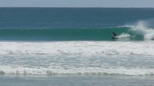 60p tracking clip of a surfer at kirra point on the gold coast of queensland — Stock Video