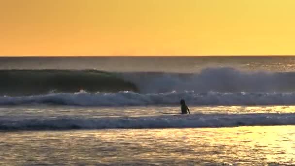 Coucher de soleil d'un jeune surfeur qui patauge pour aller surfer kuta, bali 