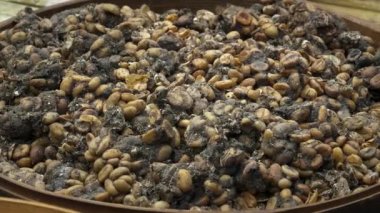 Bali 'deki işlenmemiş Luwak kahve çekirdeklerini kapatın.