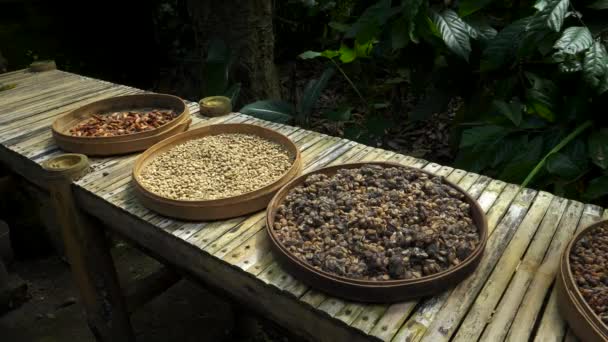 Tacki z surowego ziarna kawy na stole w kawiarni na Bali — Wideo stockowe