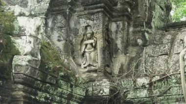 Prohm Tapınağı 'nda bir Devata oyması, Angkor.