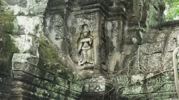 Eine devata-schnitzerei im ta prohm tempel, angkor — Stockvideo