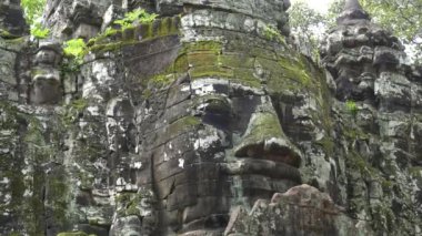 Angkor ile kaplı bir liken yüz kulesinin yakın görüntüsü