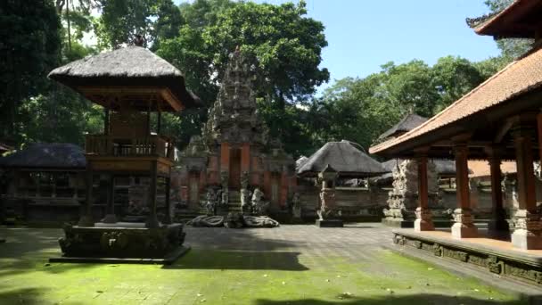 L'inclinazione su sequenza di un tempio a foresta di scimmia ubud su bali — Video Stock