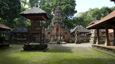 Ubud, Bali 'deki maymun ormanındaki Hindu tapınağı.