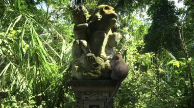 Maymun ormanında maymun heykeli üzerinde makak, Bali
