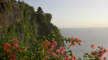 Bali 'de begonvil çiçekli uluwatu tapınağı