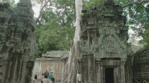 SIEM REAP, CAMBODIA - 29 Haziran 2017: Angkor Wat yakınlarındaki bir Prohm tapınağının kalıntılarını ziyaret eden turistler — Stok video