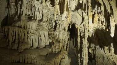 Montana 'daki Lewis ve Clark mağaralarının katedralindeki sarkıtlar.