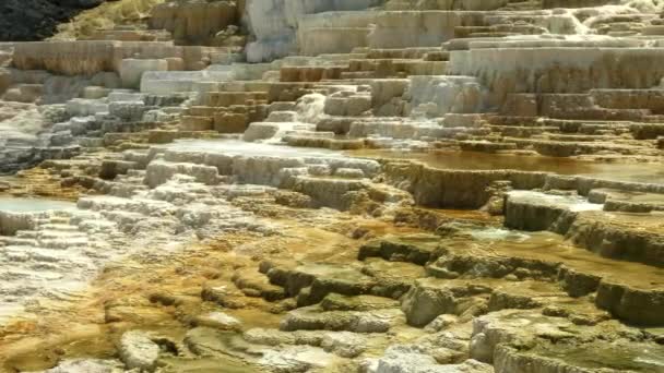 Midday panning shot of mound spring at mammoth hot springs in yellowstone national park — Stock Video