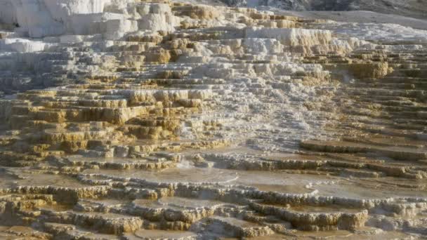 Zblízka terasy u mamutích horkých pramenů v národním parku Yellowstone — Stock video