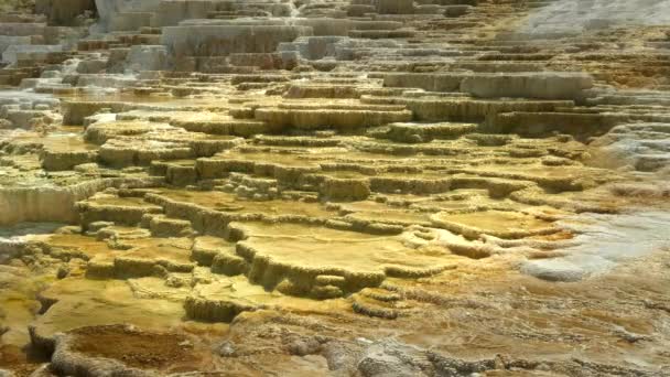 Midday close up of mound spring terraces at mammoth hot springs in yellowstone national park — Stock Video