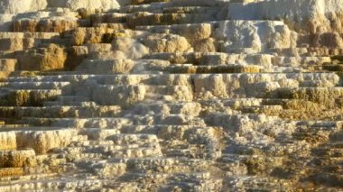 Yellowstone 'da öğleden sonra manzarası
