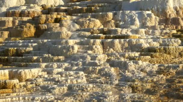 Vista de la tarde de primavera montículo en Yellowstone — Vídeo de stock