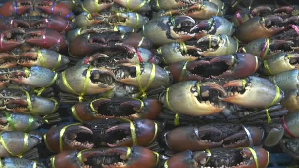 Panning shot of live mudcrabs for sale on a table outside a restaurant in chinatown — Stok Video