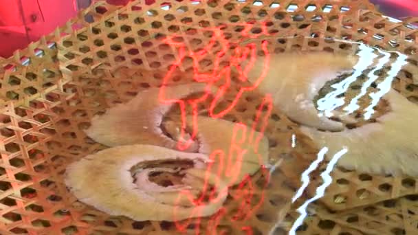 Hajfena i vatten, att säljas på restaurang på Yaowarat Road i Chinatown — Stockvideo