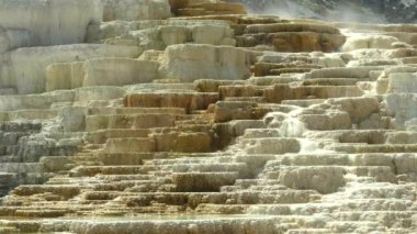 Yellowstone Ulusal Parkı 'ndaki Mamut kaplıcalarının mineral teraslarını kapatın.
