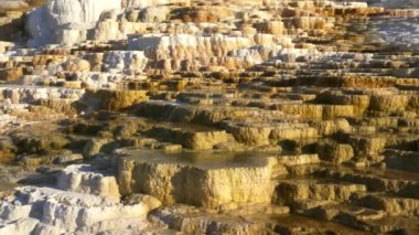 Öğleden sonra Yellowstone Ulusal Parkı 'ndaki Mamut Kaplıcaları' nın yay taşı tepeciğindeki terasları kapatın.