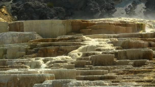 Primo piano di acqua che scorre da sorgente tumulo a mammut sorgenti termali nel parco nazionale di Yellowstone — Video Stock