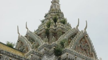 Bangkok 'taki Wat Arun Tapınağı' nın dışında yabani otlar büyüyor.
