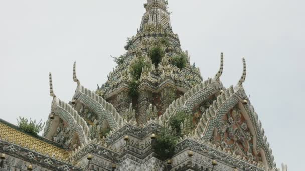 Chwasty rosnące na zewnętrznym prangu świątyni wat arun w Bangkok — Wideo stockowe