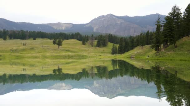 Reflexiones matutinas sobre el lago de truchas en el parque nacional de Yellowstone — Vídeo de stock