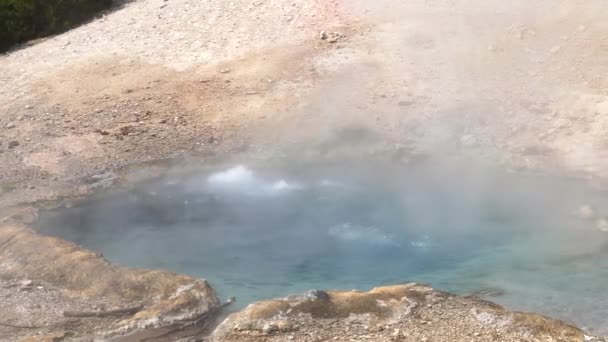 黄石国家公园的绿松石温泉密闭盘 — 图库视频影像