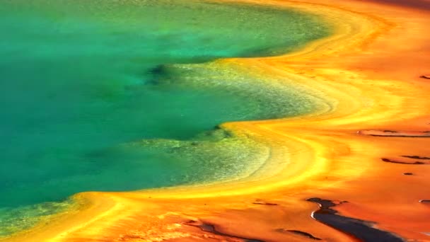 Plan rapproché du côté est de la grande piscine prismatique dans le parc national de Yellowstone — Video