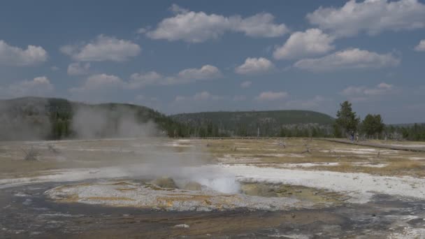 Uitzicht op juweeltje geiser in geelsteen np — Stockvideo