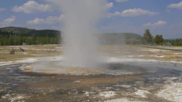 Juwelengeysir bricht im Yellowstone-Nationalpark in den USA aus — Stockvideo