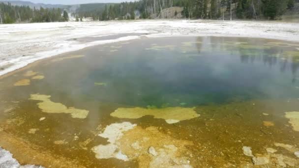 Patelnia kolorowego basenu piękności w Parku Narodowym Yellowstone — Wideo stockowe