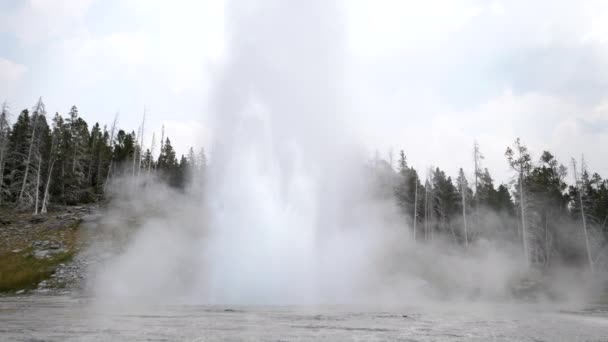 Zoom in op een grote geiser uitbarsting in Yellowstone np — Stockvideo