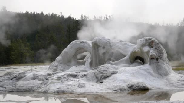 Luas tampilan grotto geyser dalam Yellowstone — Stok Video