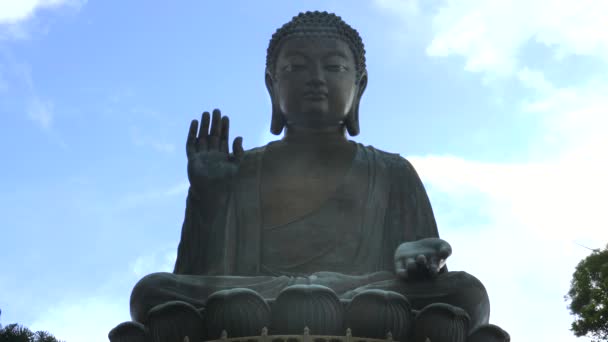 香港，中国- 2017年9月30日：香港天鹅绒青铜芽的特写 — 图库视频影像