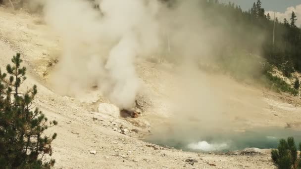 Resorte de berilo y un respiradero de vapor en yellowstone — Vídeos de Stock