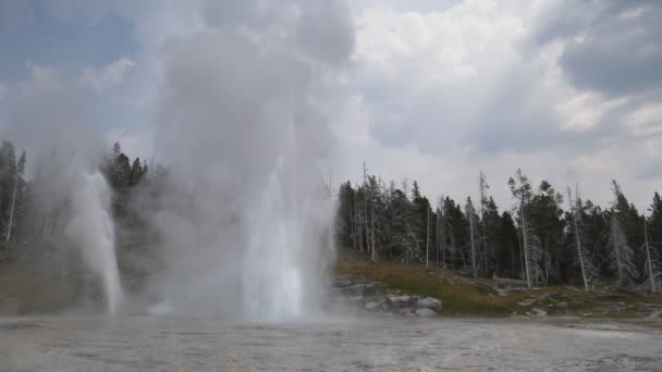 Een 180fps slow motion shot van een grote geiser die uitbarst in Yellowstone National Park — Stockvideo