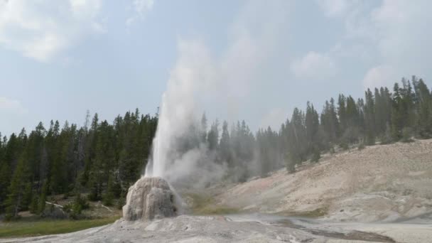 Vue large du geyser solitaire en éruption dans la pierre jaune — Video