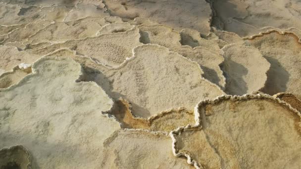 High angle close up of mineral terraces at yellowstone — Stock Video