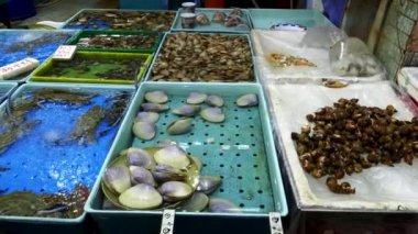 Hong Kong, Çin 'deki Chun Yueng pazarında canlı deniz tarakları satılıyor.