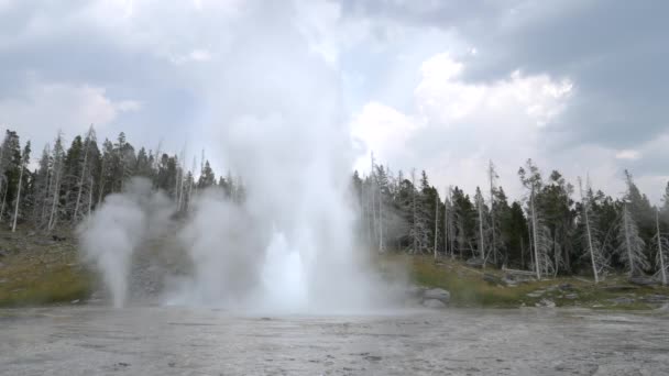 Een Weids Uitzicht Grote Geiser Uitbarsting Yellowstone National Park Usa — Stockvideo