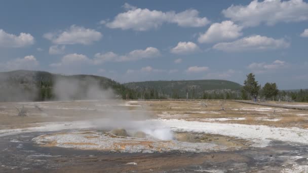 60P Clip Eines Juwelengeysirs Der Yellowstone Nationalpark Den Usa Ausbricht — Stockvideo